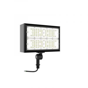 100W ARF flood light 39