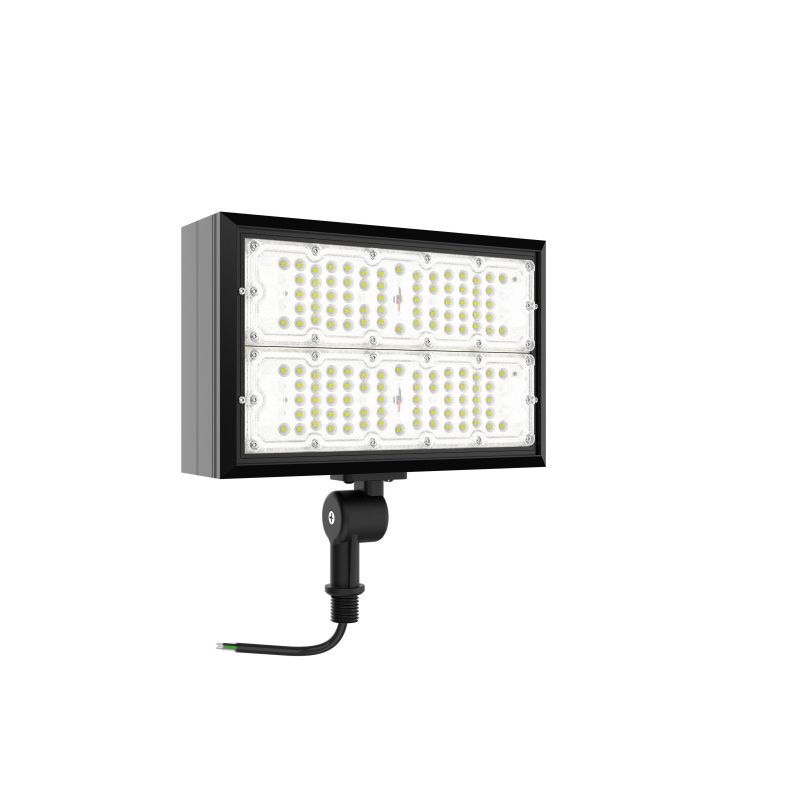 100W ARF flood light 39