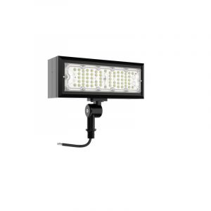 50w ARF flood light 29