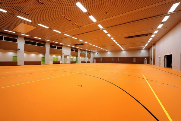 High Bay Lights for Sports Halls, Gymnasiums, Indoor Sports Courts